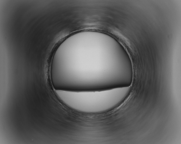 X0000094421411200711080949