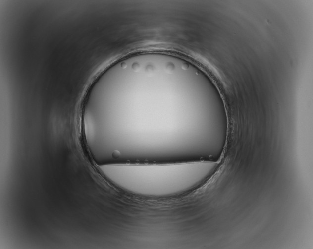 X0000094421413200711080949