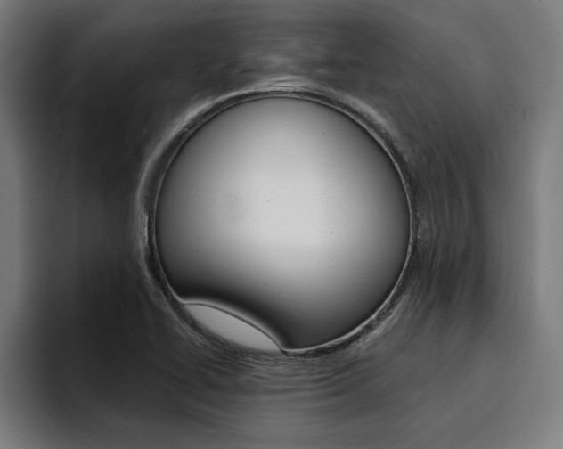 X0000094421414200711080949