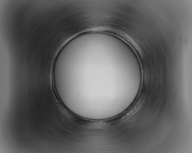 X0000094421417200711080949