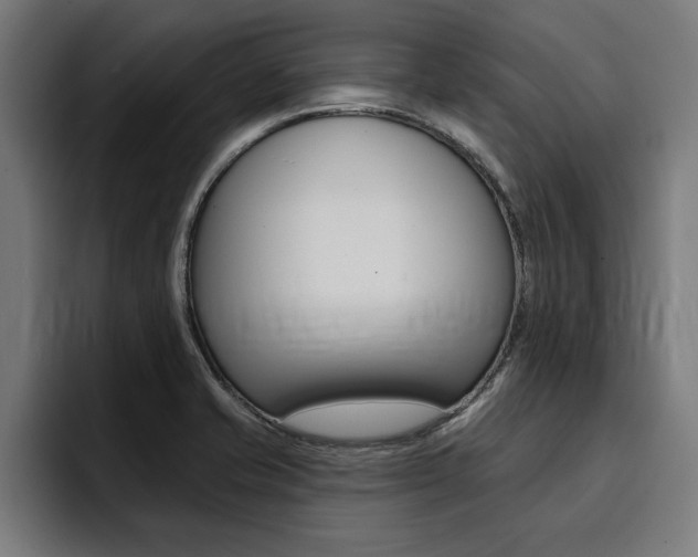 X0000094421421200711080950