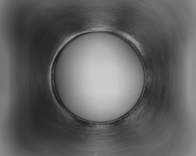 X0000094421423200711080950