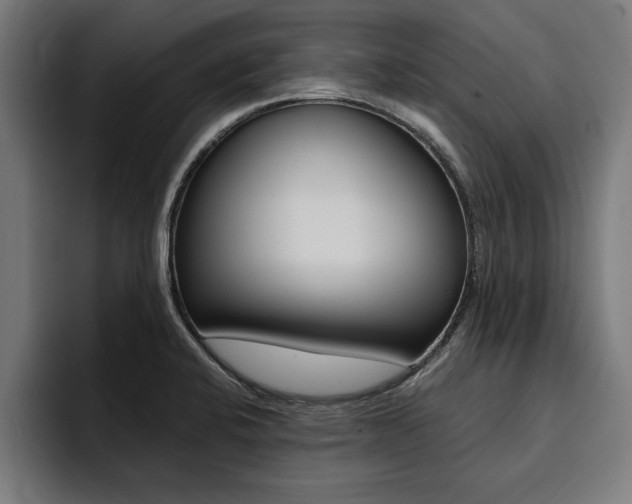 X0000094421424200711080950