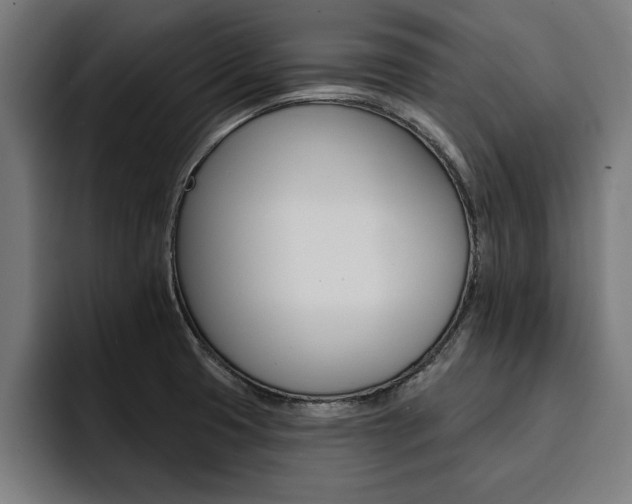 X0000094421425200711080950