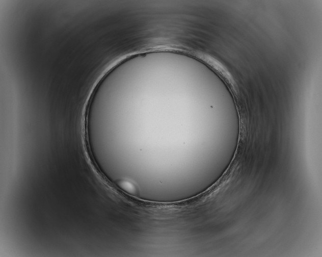 X0000094421431200711080950
