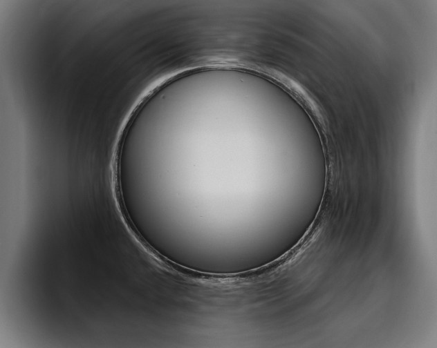 X0000094421432200711080950