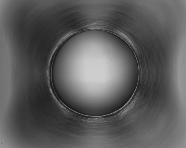 X0000094421434200711080950