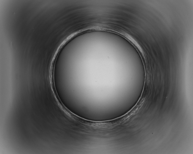 X0000094421437200711080950