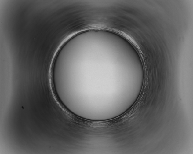 X0000094421440200711080950