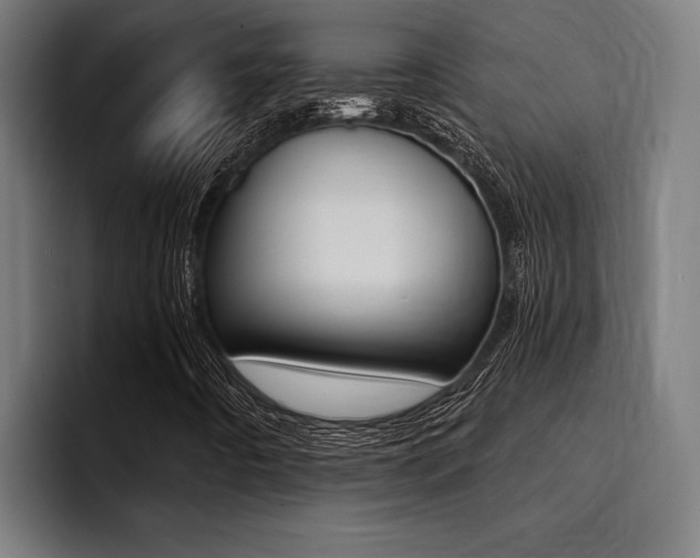 X0000094421442200711080949