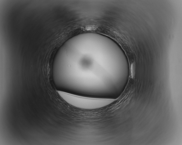 X0000094421443200711080949