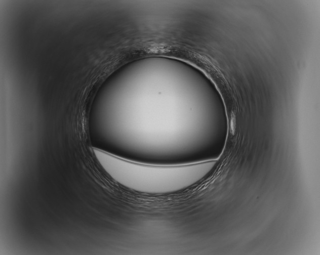 X0000094421444200711080949