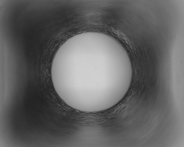 X0000094421445200711080949