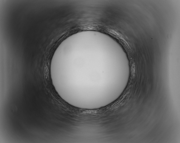 X0000094421446200711080949