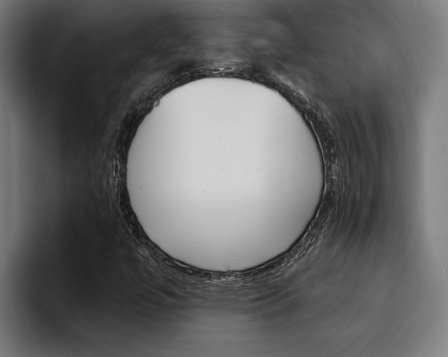 X0000094421447200711080949