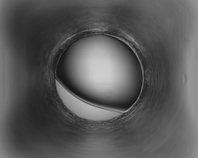 X0000094421448200711080949
