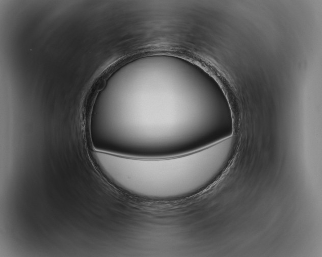 X0000094421450200711080949