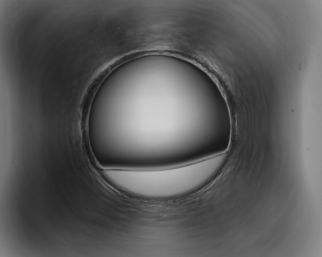 X0000094421452200711080949