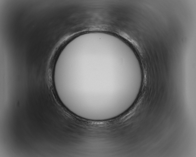 X0000094421454200711080949