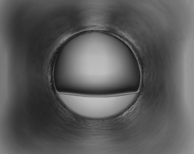 X0000094421455200711080949