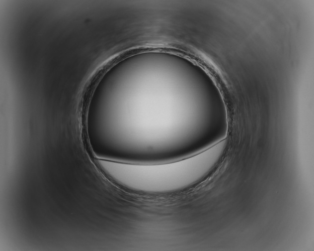 X0000094421456200711080949