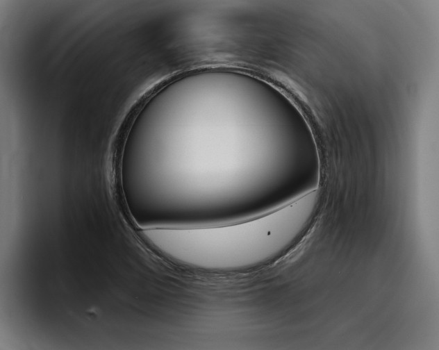 X0000094421458200711080949
