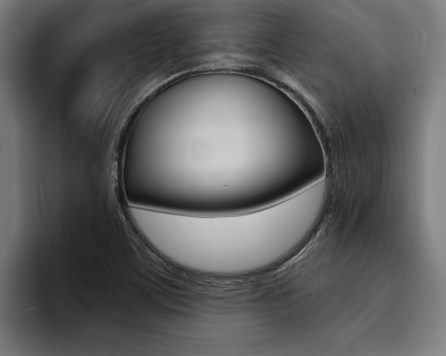 X0000094421459200711080949