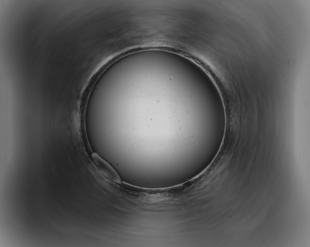 X0000094421460200711080949
