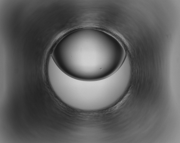 X0000094421461200711080949