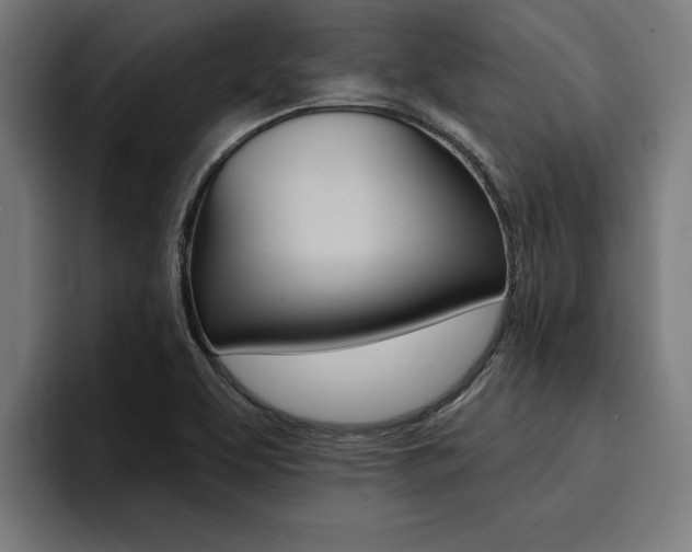 X0000094421463200711080949