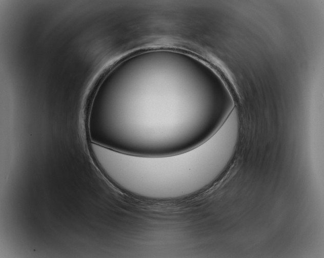 X0000094421464200711080949