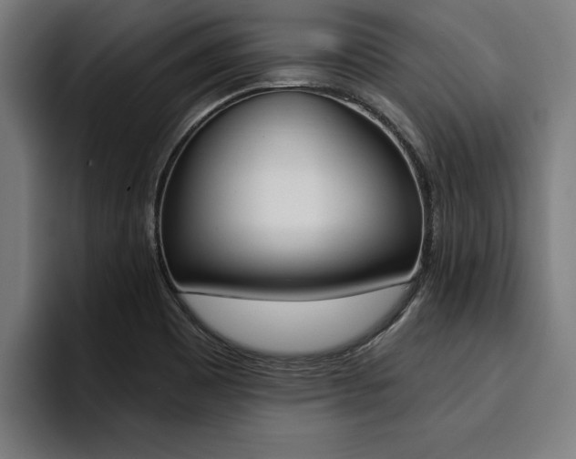 X0000094421465200711080949