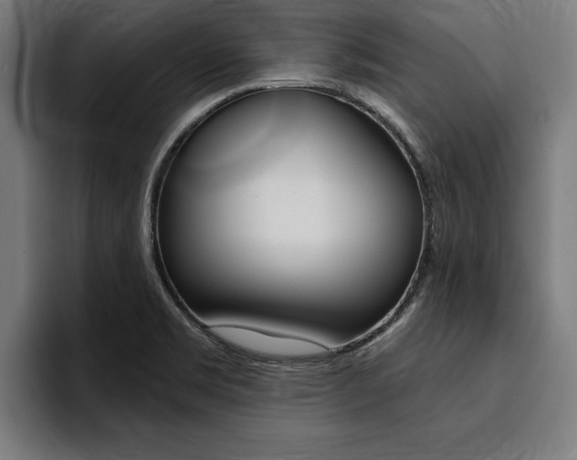 X0000094421469200711080949