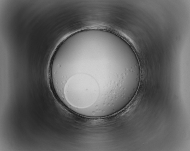 X0000094421471200711080949