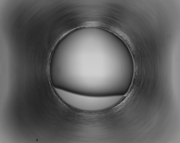X0000094421473200711080949