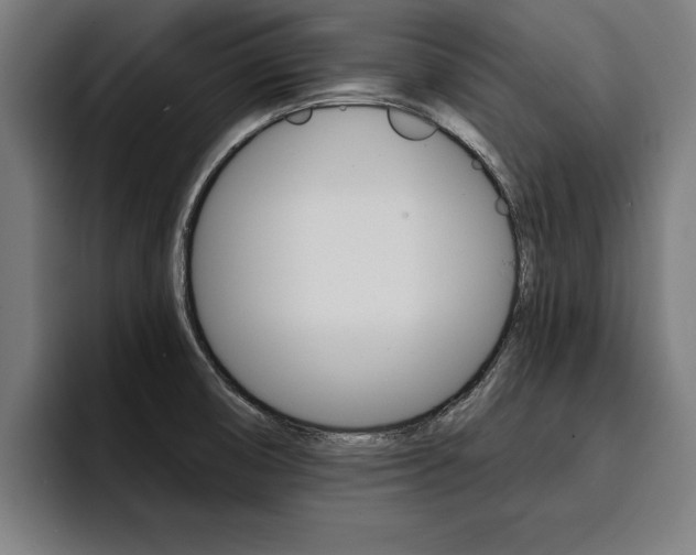 X0000094421474200711080949