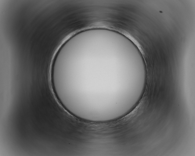 X0000094421477200711080949