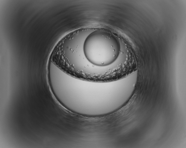 X0000094421479200711080949