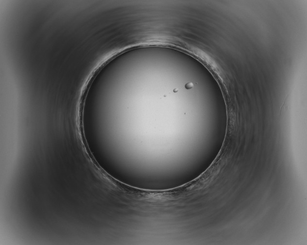 X0000094421480200711080949