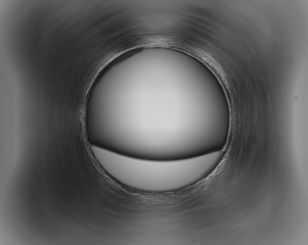 X0000094421481200711080949