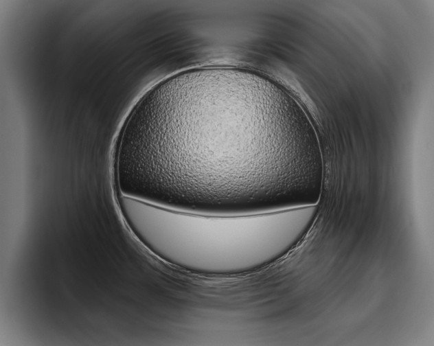 X0000094421483200711080949