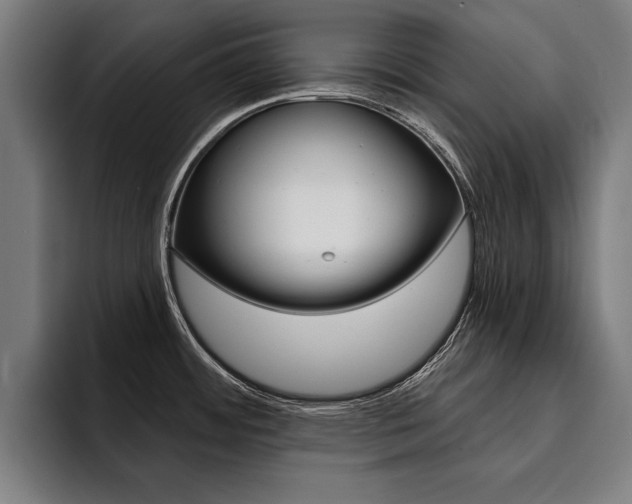 X0000094421484200711080949