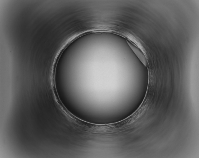 X0000094421485200711080949