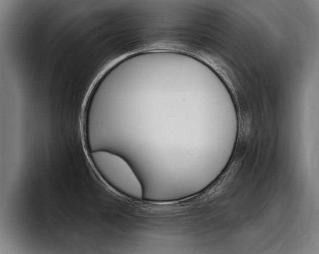 X0000094421486200711080949
