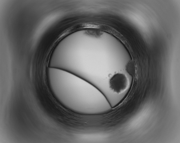 X0000094421487200711080949