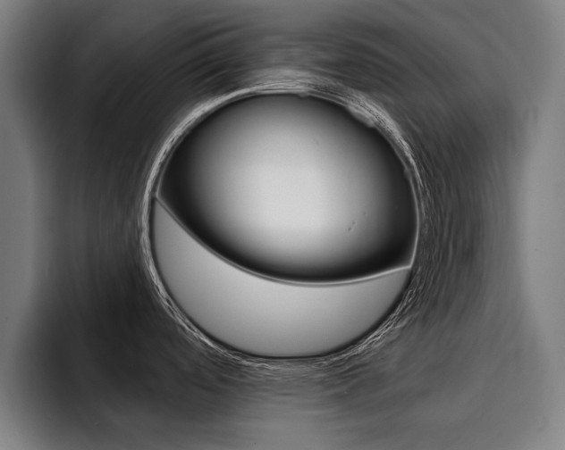 X0000094421488200711080949