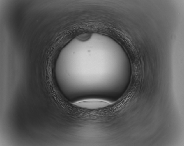 X0000094421489200711080948