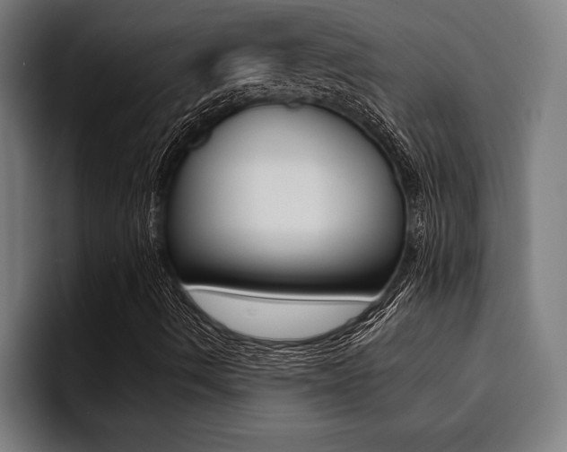X0000094421490200711080948