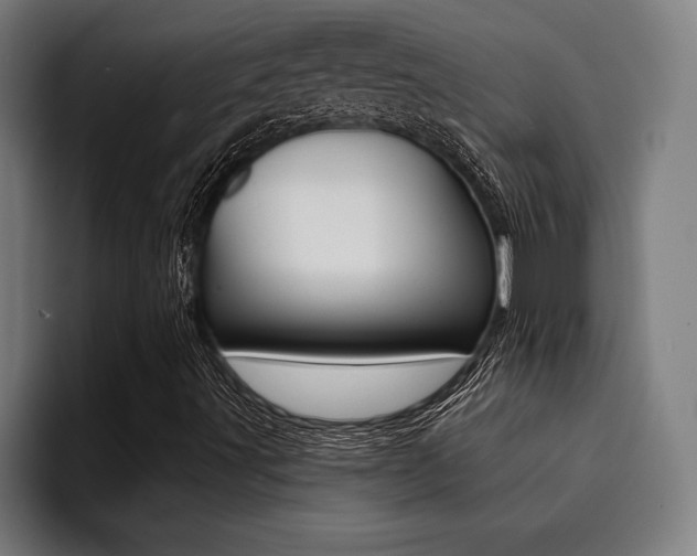 X0000094421491200711080948