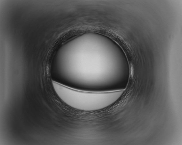 X0000094421492200711080948